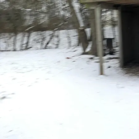 Villa For 10 Adult *