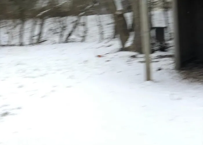 Villa For 10 Adult *